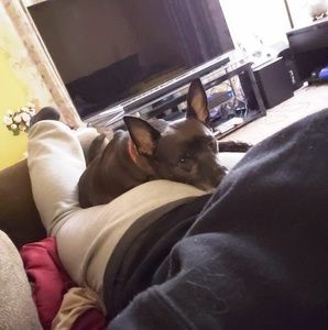 Meet your Posher, Evan